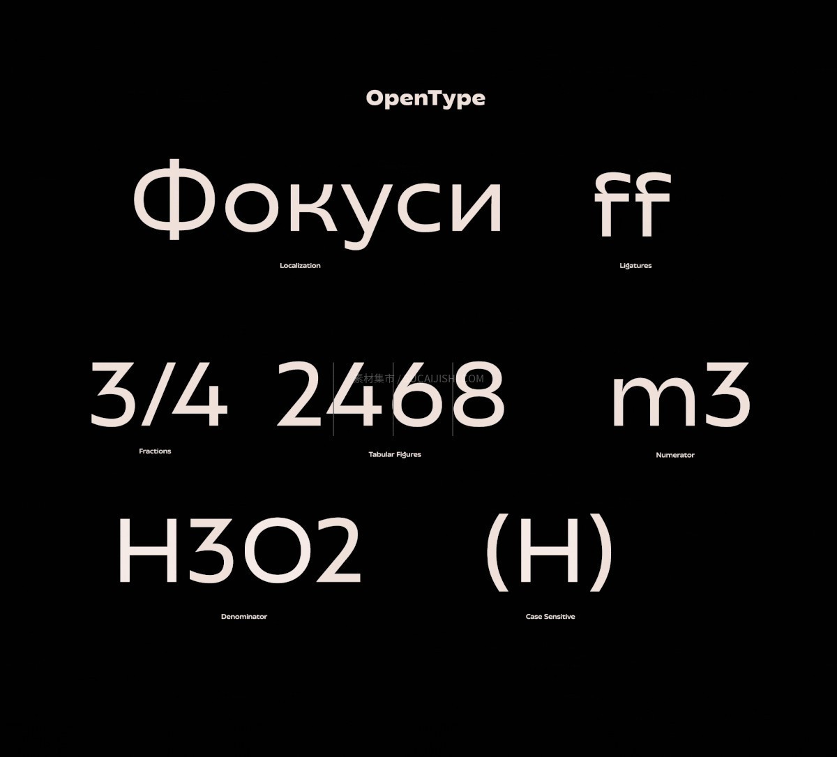 Transforma 魔法混合字体家族 (19种字重+3种可变)
